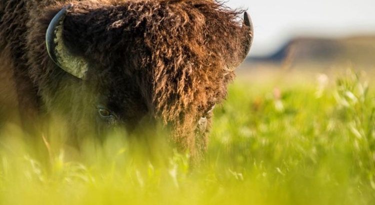 Kanada Foto Tourism Saskatchewan Chris Hendrickson